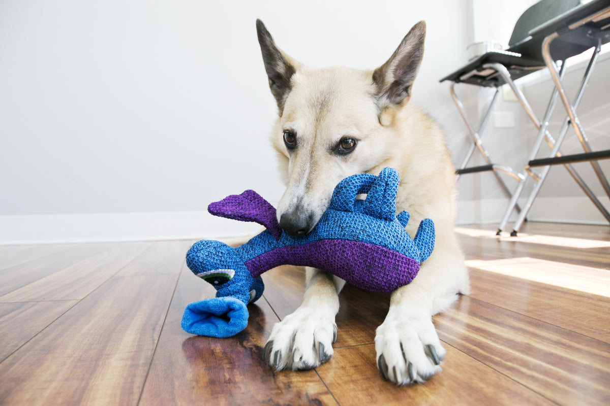 KONG Woozles - Plush, Squeaky Alien Toy for Dogs