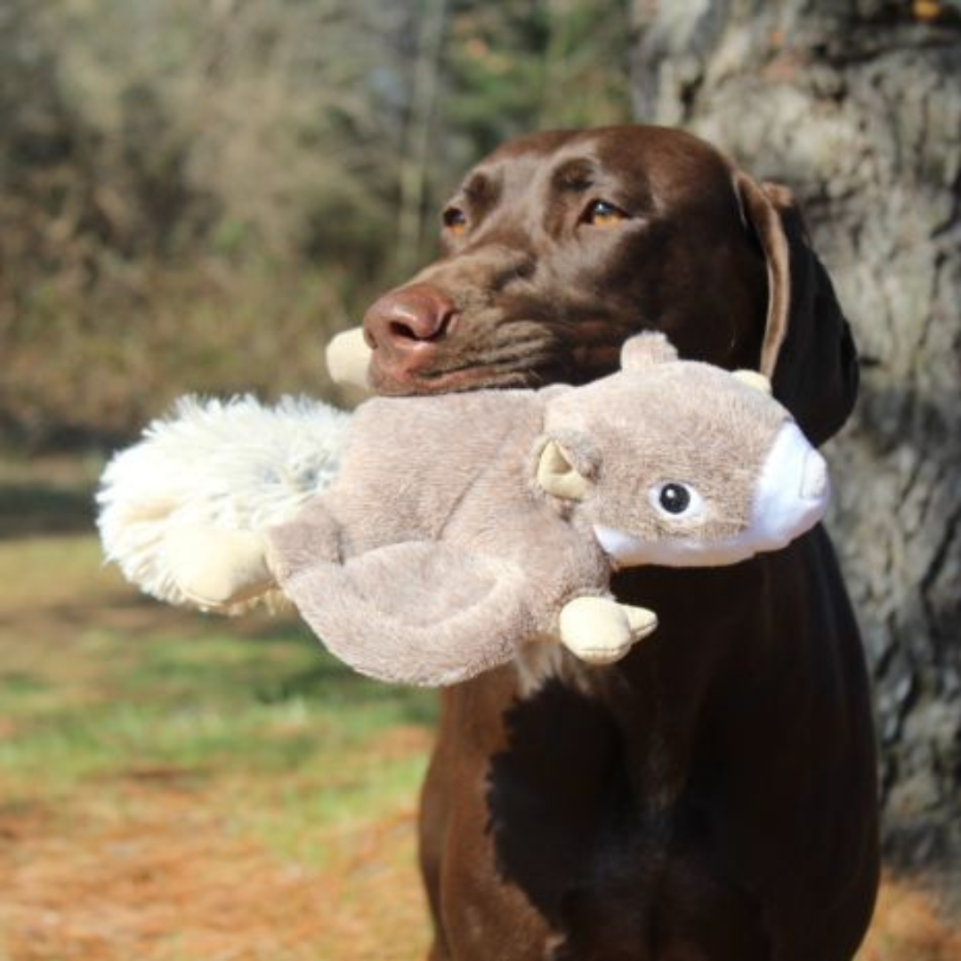 Tall Tails Plush Flying Squirrel with Inner Rope - Durable, Soft, Squeaky Toy for Dogs